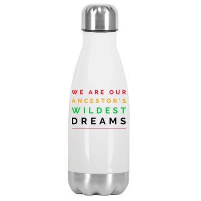 We Are Our Ancestor's Wildest Dreams Cool Gift Stainless Steel Insulated Water Bottle