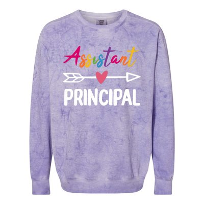 Wo Assistant Principal Appreciation Week Back To School Colorblast Crewneck Sweatshirt