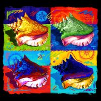 Warhol Conch Shells 7-Panel Snapback Hat