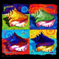 Warhol Conch Shells Sustainable Beanie