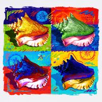 Warhol Conch Shells Cooling Performance Long Sleeve Crew