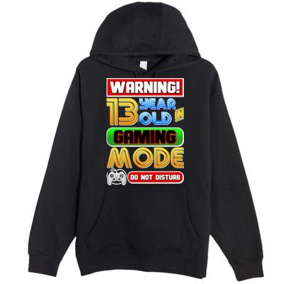 Warning 13 Year Old In Gaming Mode Birthday Premium Pullover Hoodie