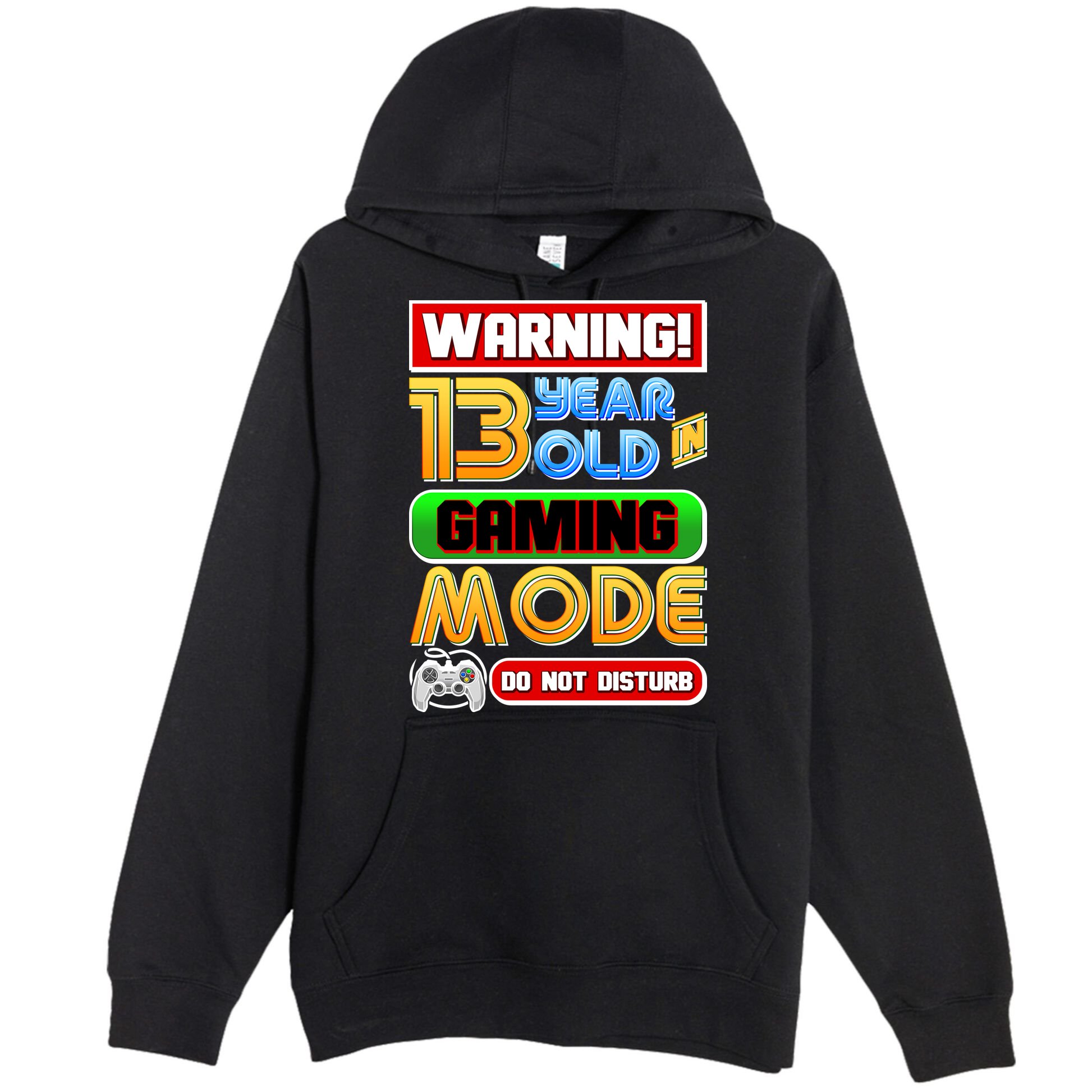 Warning 13 Year Old In Gaming Mode Birthday Premium Pullover Hoodie