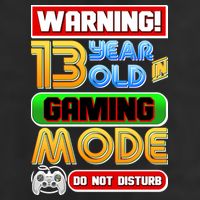 Warning 13 Year Old In Gaming Mode Birthday Premium Pullover Hoodie