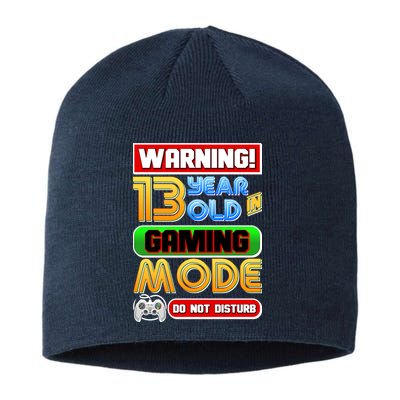 Warning 13 Year Old In Gaming Mode Birthday Sustainable Beanie