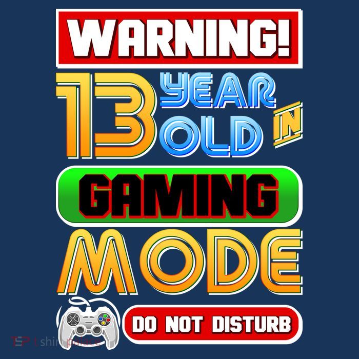 Warning 13 Year Old In Gaming Mode Birthday Premium T-Shirt