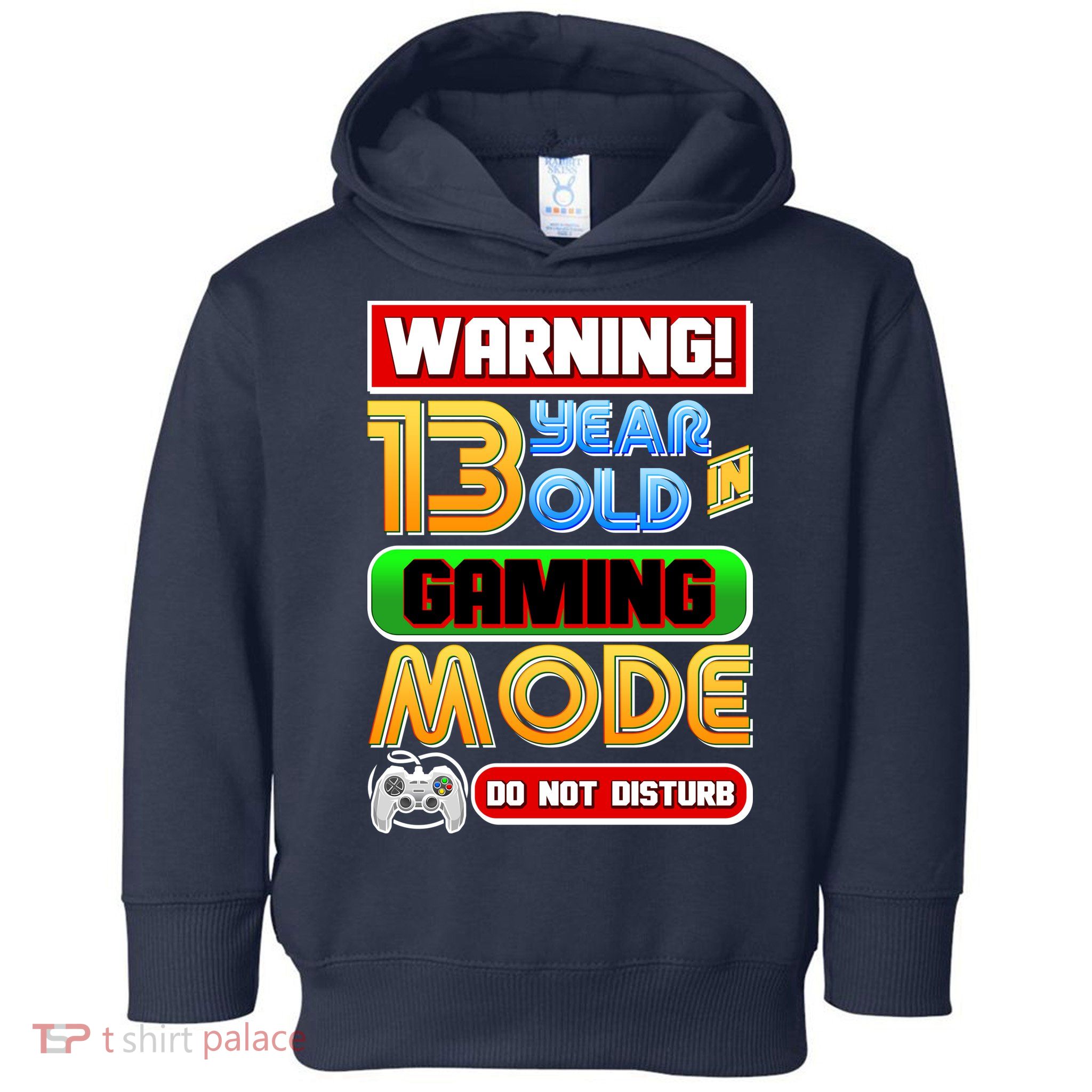 Warning 13 Year Old In Gaming Mode Birthday Toddler Hoodie