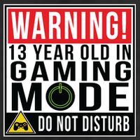 Warning 13 Year Old in Gaming Mode Teenager 7 Panel Mesh Trucker Snapback Hat