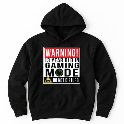 Warning 13 Year Old in Gaming Mode Teenager Hoodie