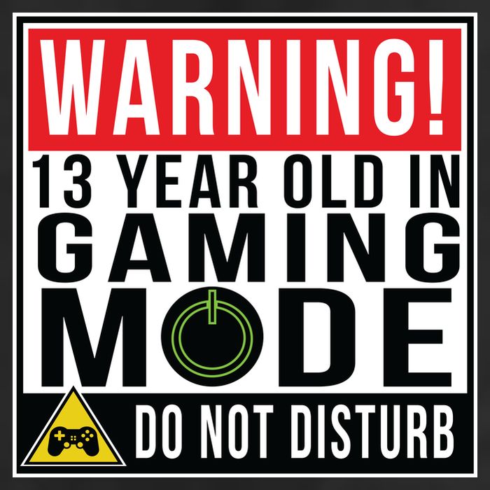 Warning 13 Year Old in Gaming Mode Teenager Adult Drive Performance Visor