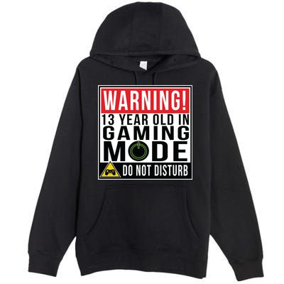 Warning 13 Year Old in Gaming Mode Teenager Premium Pullover Hoodie