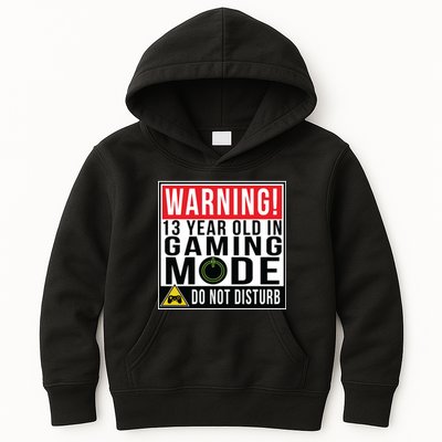 Warning 13 Year Old in Gaming Mode Teenager Kids Hoodie
