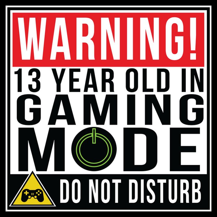 Warning 13 Year Old in Gaming Mode Teenager Wool Snapback Cap