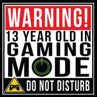 Warning 13 Year Old in Gaming Mode Teenager Zip Tote Bag