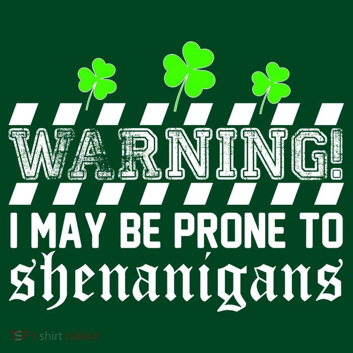 Warning I May be Prone to Shenanigans T-Shirt