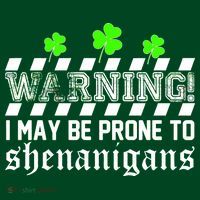 Warning I May be Prone to Shenanigans Sustainable Beanie