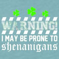 Warning I May be Prone to Shenanigans Sueded Cloud Jersey T-Shirt