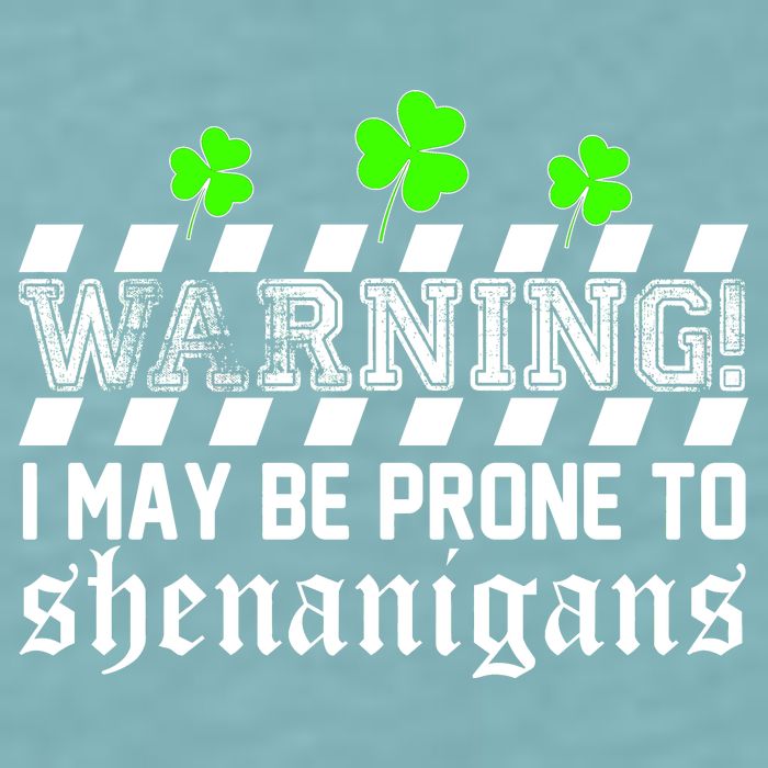 Warning I May be Prone to Shenanigans Sueded Cloud Jersey T-Shirt
