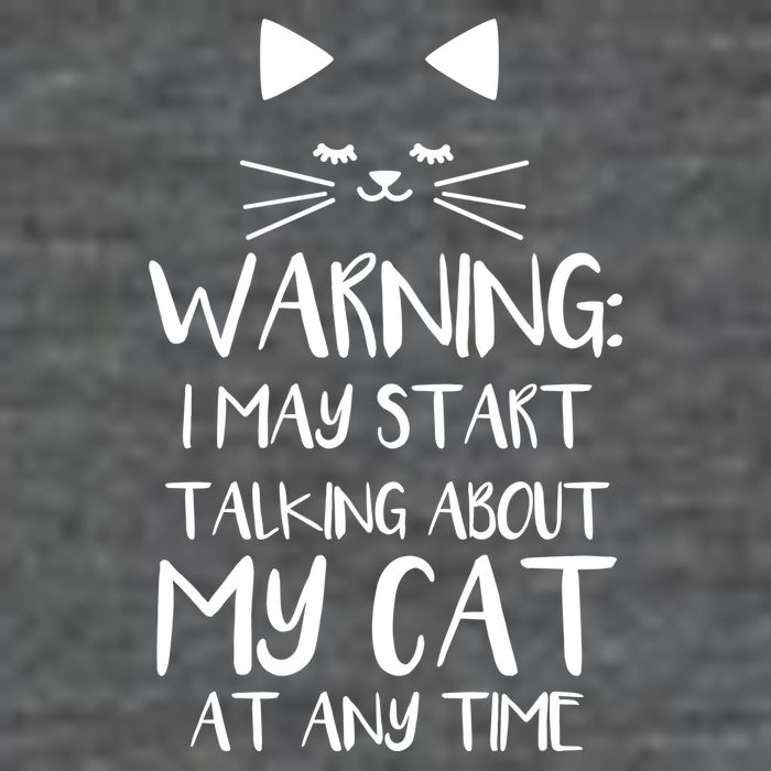 Warning I May Start Talking About My Cat Button