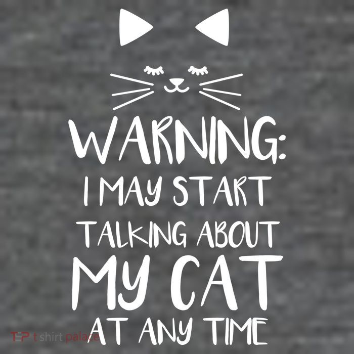 Warning I May Start Talking About My Cat Flatbill Hat