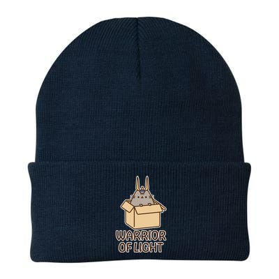 Warrior Of Light FF14 Beanie