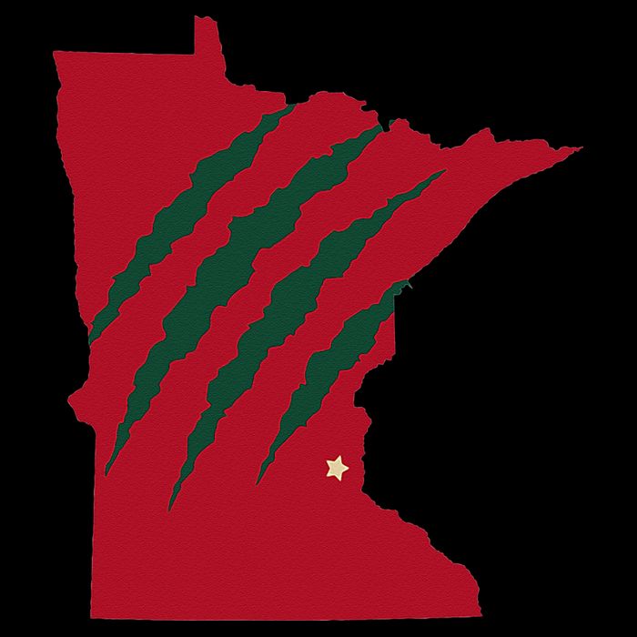 Wild Animal Scratches Through Minnesota Visor
