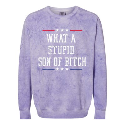 What A Stupid Son Of Bitch Colorblast Crewneck Sweatshirt