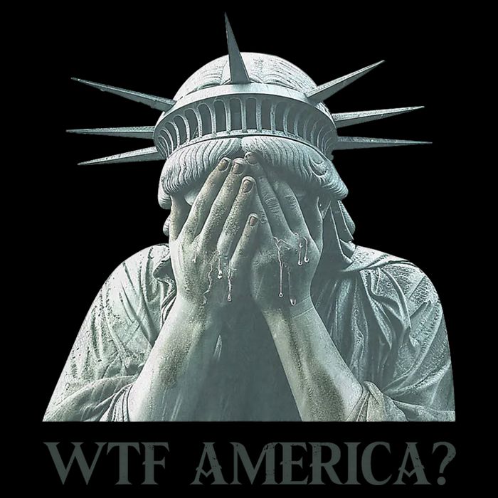 WTF America Statue of Liberty Cry Toddler Hoodie