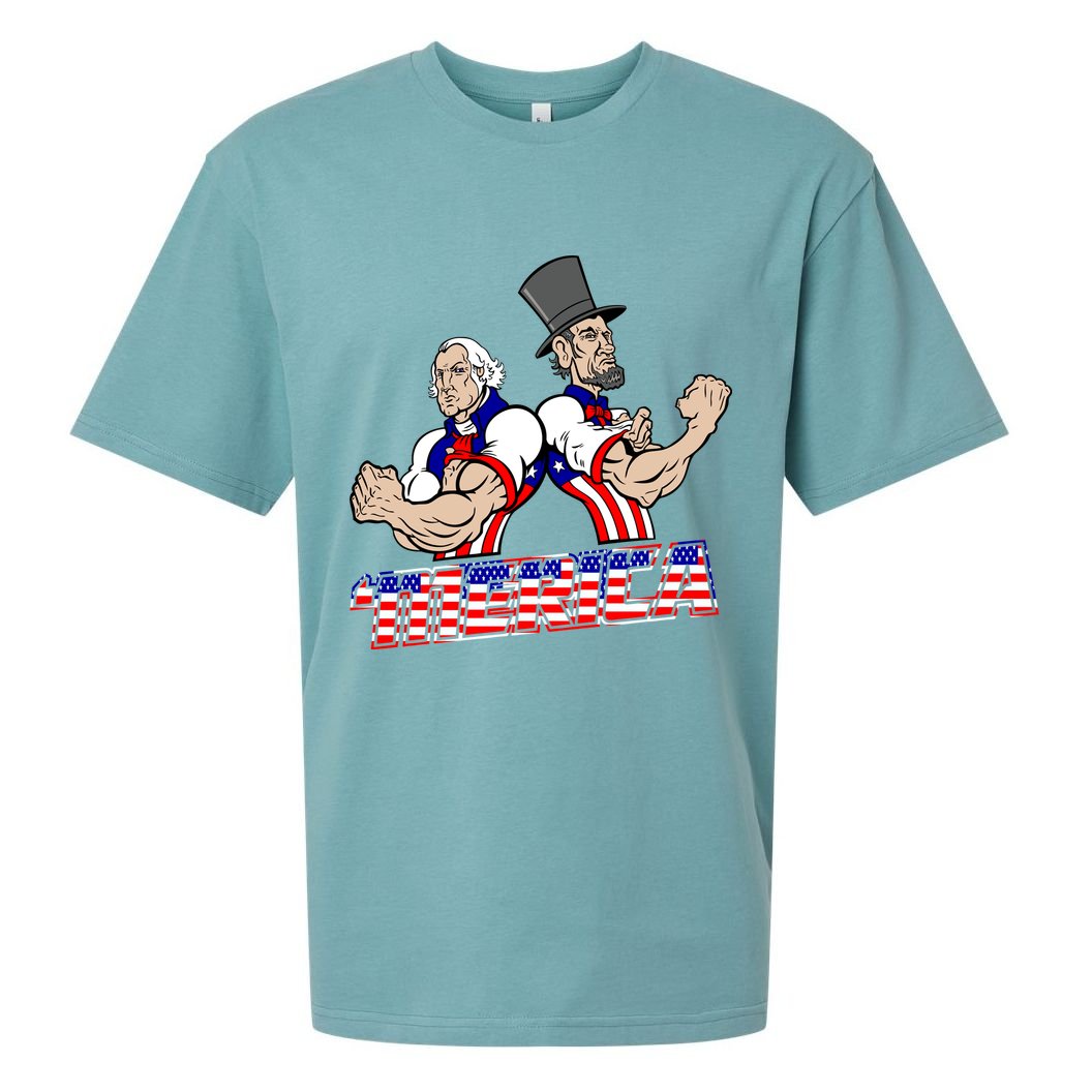 Washington And Lincoln 'Merica Sueded Cloud Jersey T-Shirt