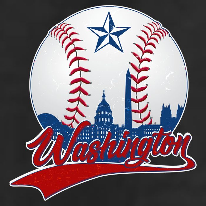 Washington Baseball Vintage Style Fan Hat