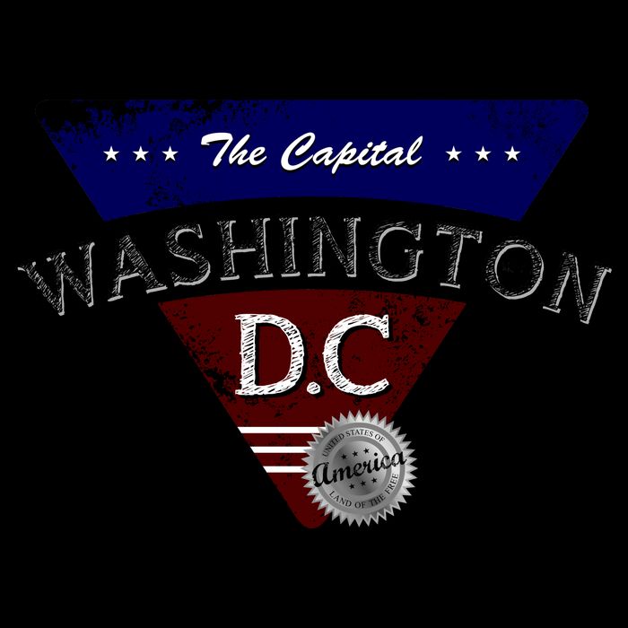 Washington D.C Land of the Free Logo Impact Tech Backpack