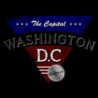 Washington D.C Land of the Free Logo 16 in Basic Backpack