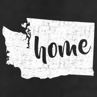 Washington Home State Adult Drive Performance Visor