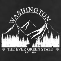 Washington The Ever Green State Adult Drive Performance Visor
