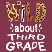 Wild about Third Grade Teacher Student First Day Of School 16oz Travel Tumbler