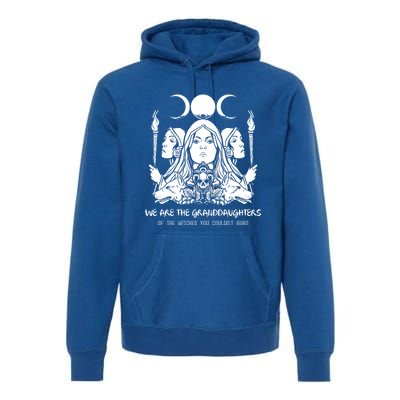 We Are The Granddaughters Of The Witches Feminism Funny Gift Premium Hoodie