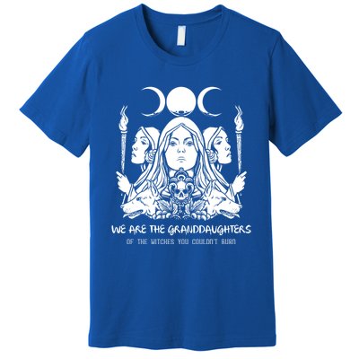 We Are The Granddaughters Of The Witches Feminism Funny Gift Premium T-Shirt