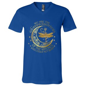 We Are The Granddaughters Of The Witches You Could Not Burn Funny Gift V-Neck T-Shirt