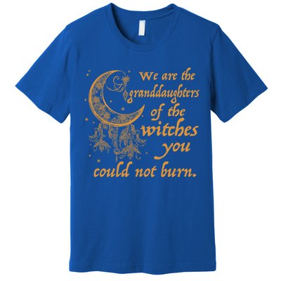 We Are The Granddaughters Of The Witches You Couldn't Burn Gift Premium T-Shirt