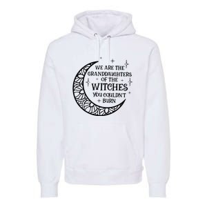 We Are The Granddaughters Of The Witches You Could Not Burn Premium Hoodie