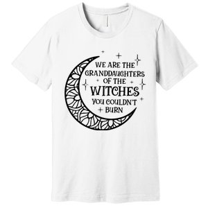 We Are The Granddaughters Of The Witches You Could Not Burn Premium T-Shirt