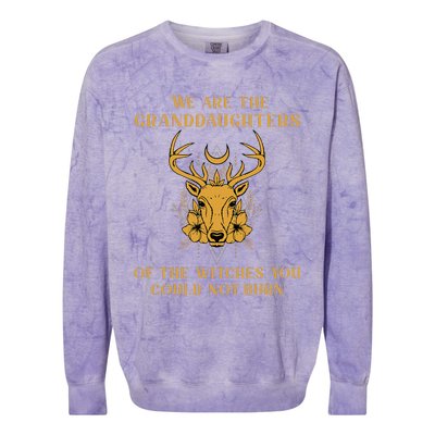 We Are The Granddaughters Of The Witches You Could Not Burn Colorblast Crewneck Sweatshirt