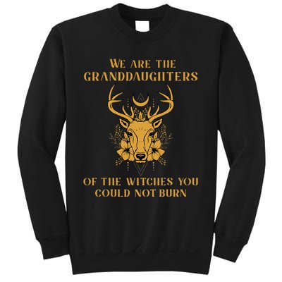 We Are The Granddaughters Of The Witches You Could Not Burn Sweatshirt