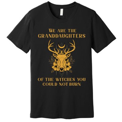 We Are The Granddaughters Of The Witches You Could Not Burn Premium T-Shirt