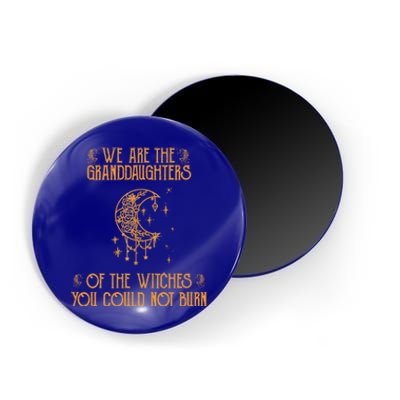 We Are The Granddaughters Of The Witches You Could Not Burn Gift Magnet