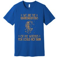 We Are The Granddaughters Of The Witches You Could Not Burn Gift Premium T-Shirt