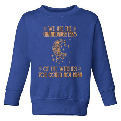 We Are The Granddaughters Of The Witches You Could Not Burn Gift Toddler Sweatshirt