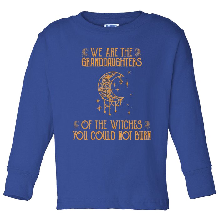 We Are The Granddaughters Of The Witches You Could Not Burn Gift Toddler Long Sleeve Shirt