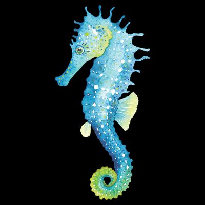 Watercolor Seahorse T-Shirt