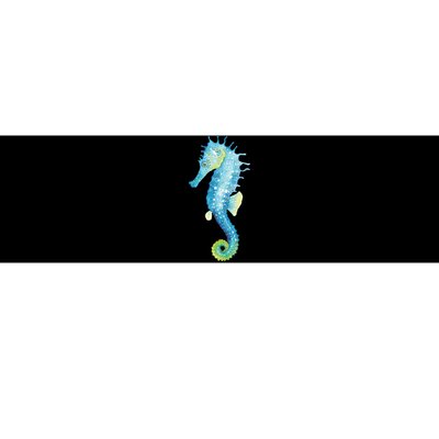 Watercolor Seahorse Bumper Sticker